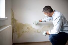 Best Emergency Mold Remediation  in Hico, TX